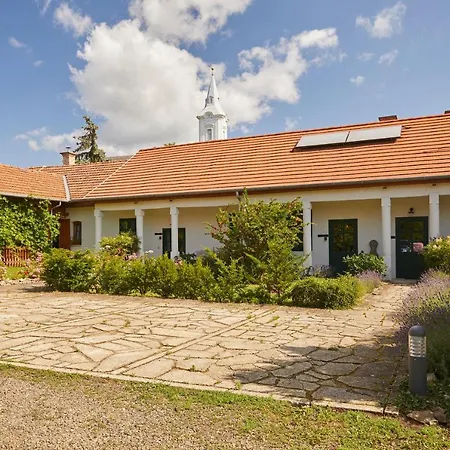 Гостевой дом Barta Pince Vendeghaz