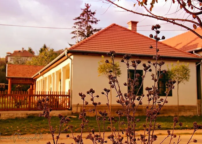 Barta Pince Vendeghaz 3*